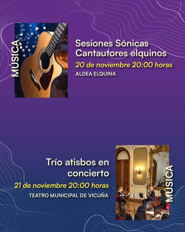 Afiche: Sesiones Sónicas · Cantautores elquinos