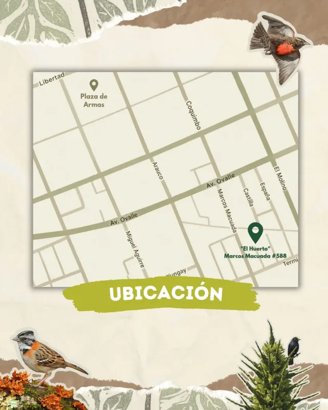 Flyer e información de Valle Vivo · Encuentro de plantas y naturaleza
