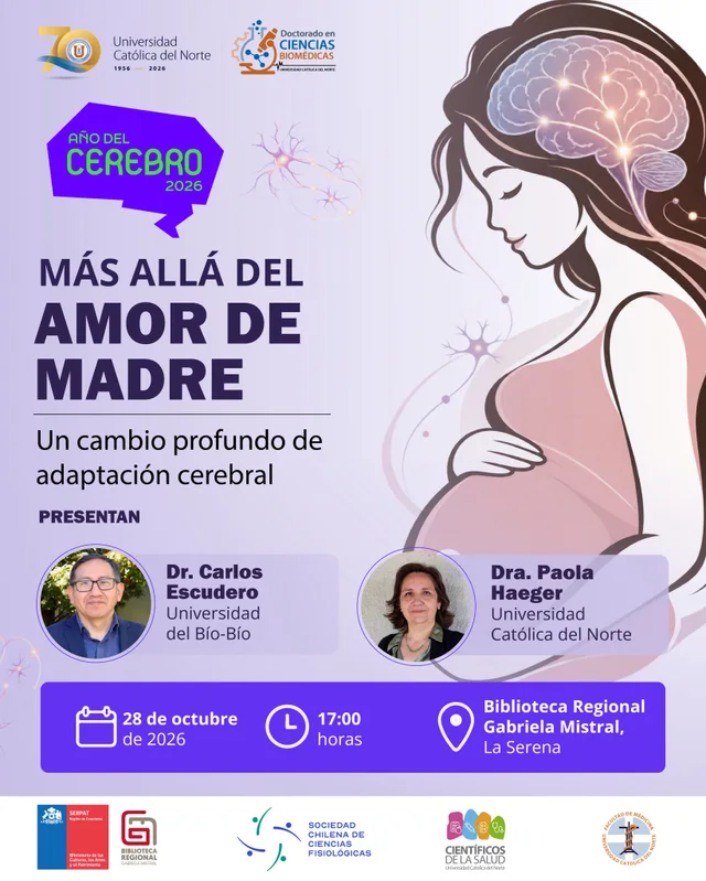 Afiche: Más allá del amor de madre · adaptación cerebral