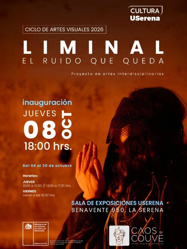 Afiche: Exposición LIMINAL: El ruido que queda