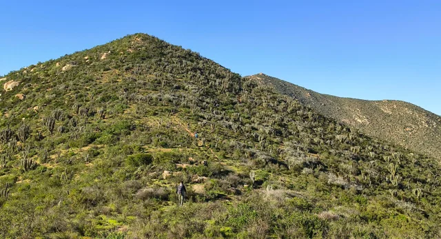 Afiche: Trekking Cerro Águila y Tres Puntas · Día de los Cerros