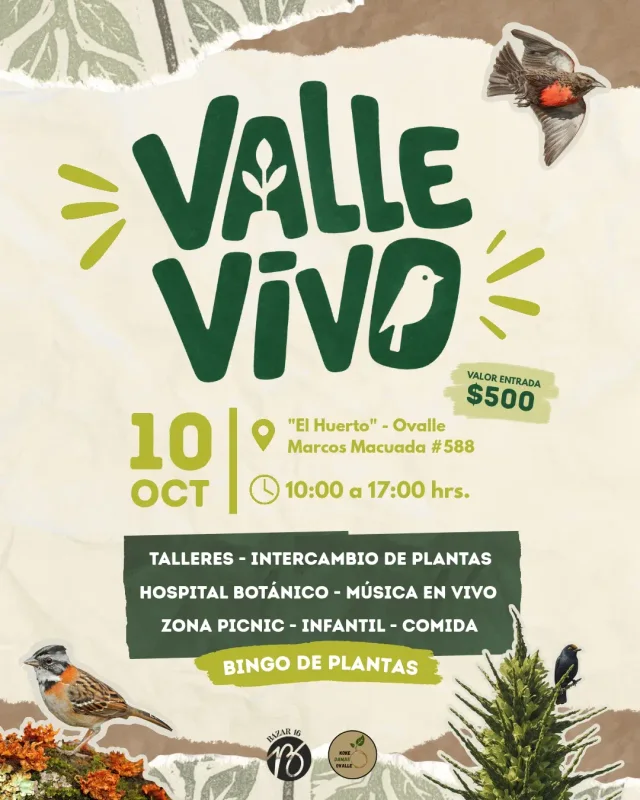 Afiche de Valle Vivo · Encuentro de plantas y naturaleza