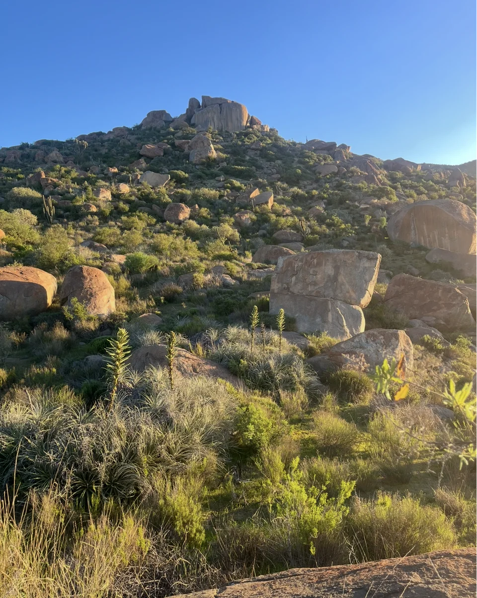 Afiche de Recorriendo el Cerro Piedra · Día de los Cerros