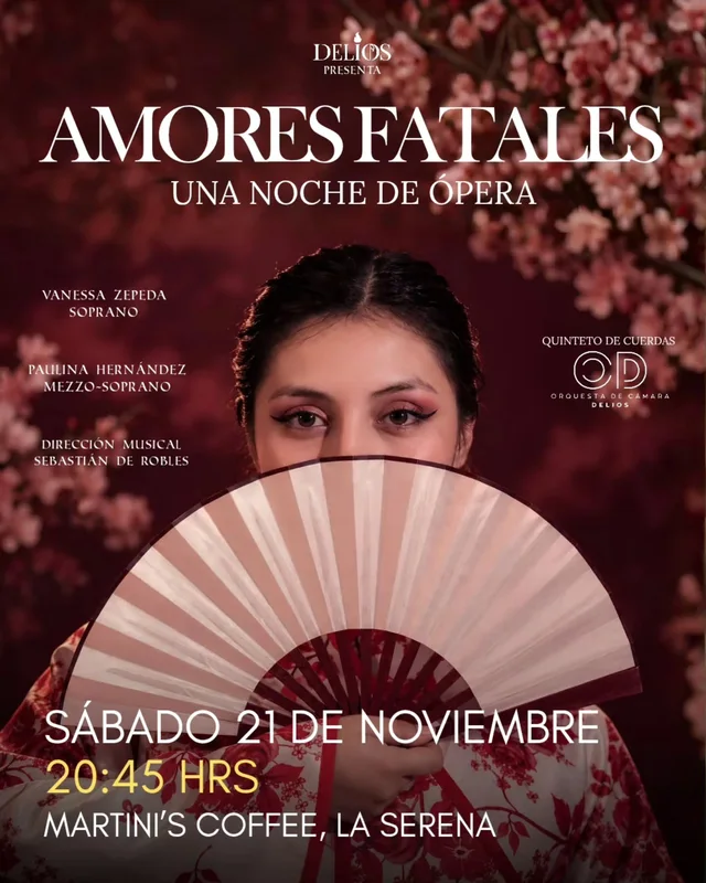 Afiche de Amores Fatales · Una noche de ópera