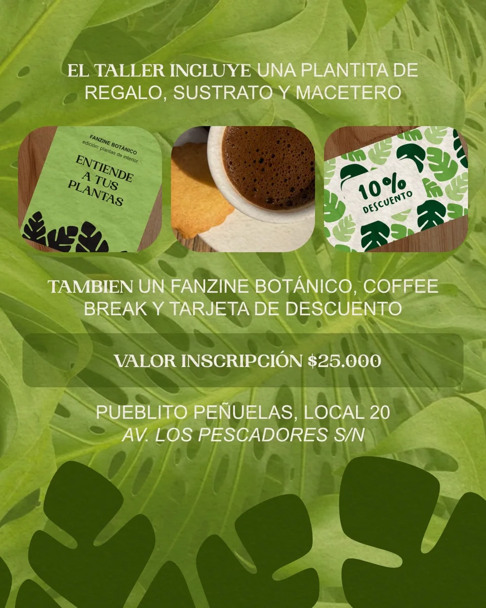 Información del taller: inscripción $25.000 e incluye plantita, macetero, sustrato, fanzine y coffee break