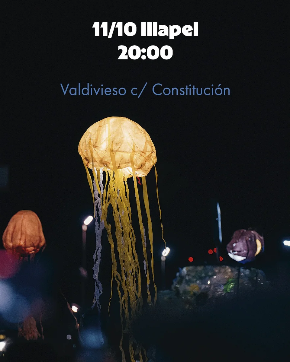 Afiche de Océano · Los peces inundan Illapel