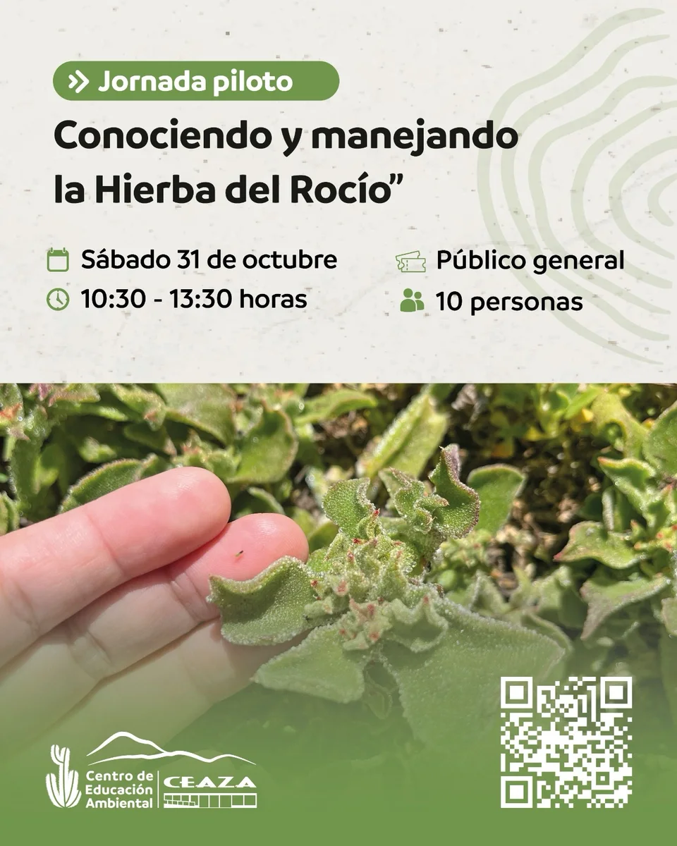 Afiche de Conociendo y manejando la Hierba del Rocío · 31 de octubre