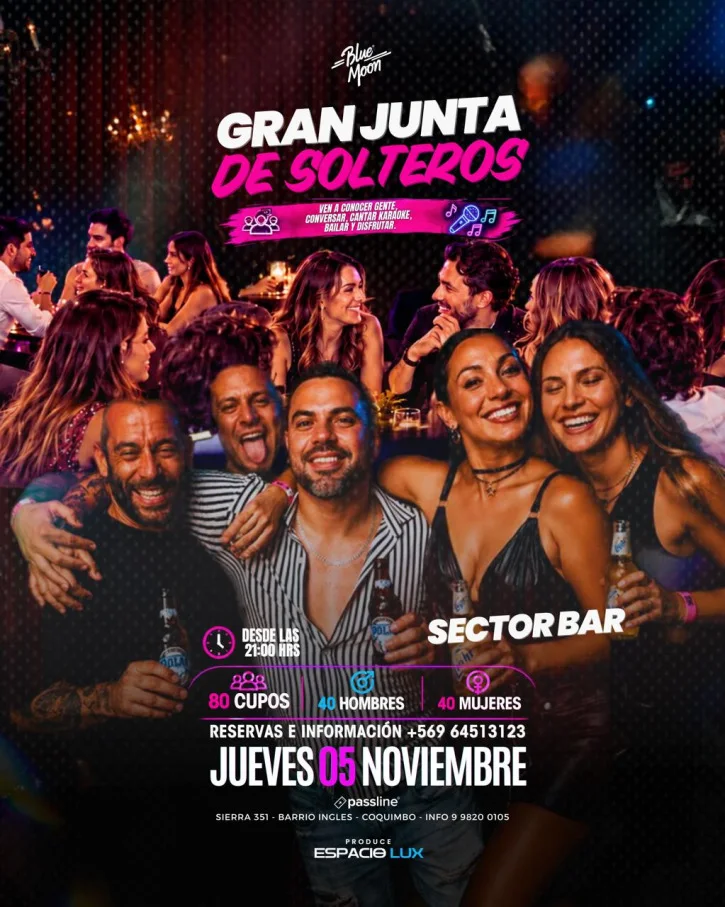Afiche de Gran noche de solteros