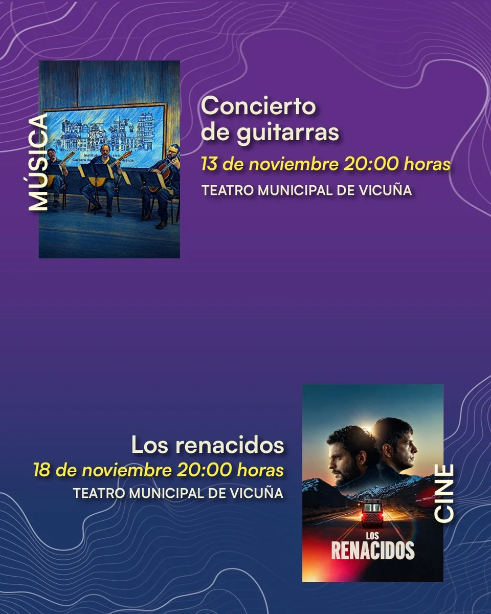 Afiche de Concierto de guitarras