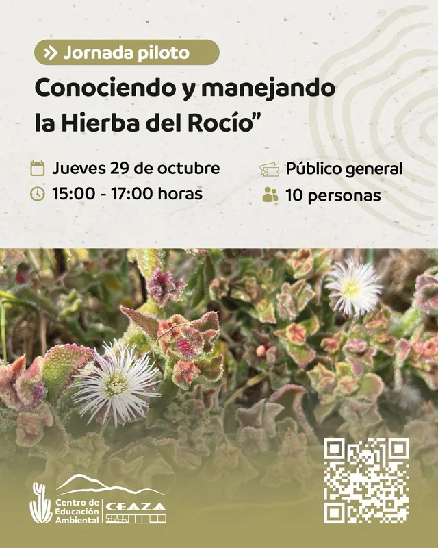 Afiche: Conociendo y manejando la Hierba del Rocío · 29 de octubre