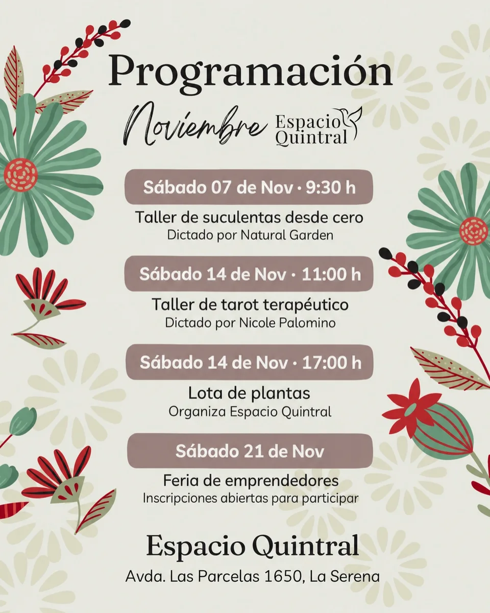 Afiche de Taller de suculentas desde cero