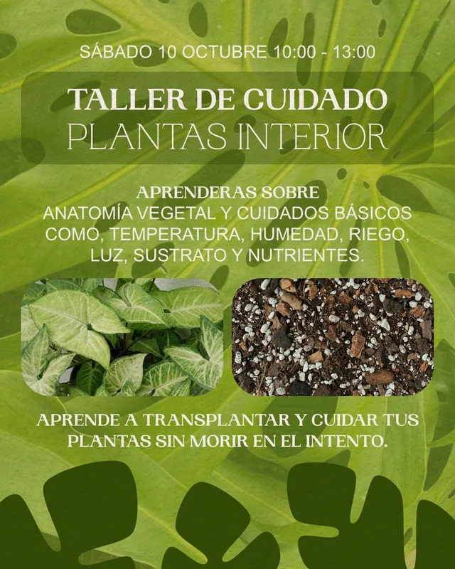 Afiche de Taller de cuidado de plantas de interior · Taller 108