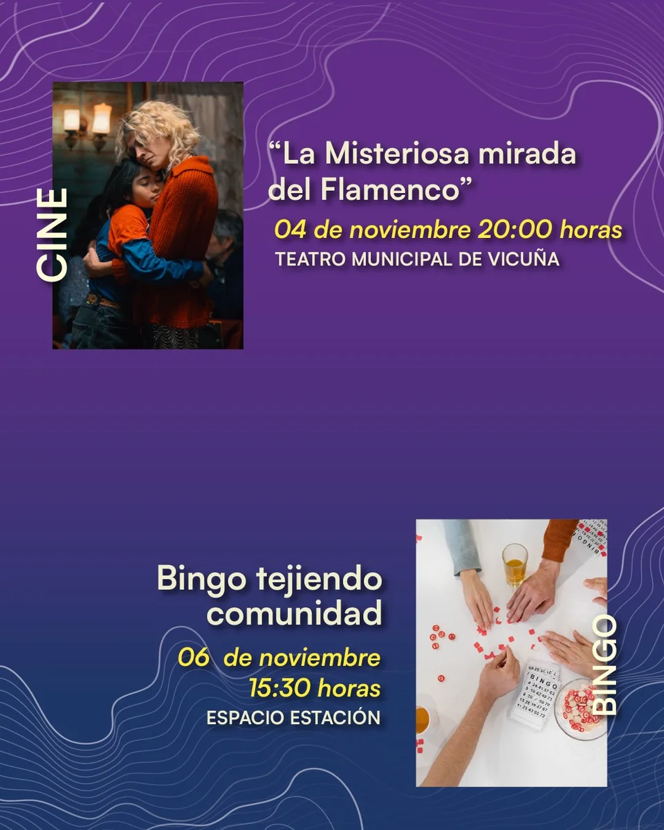 Afiche de La misteriosa mirada del flamenco