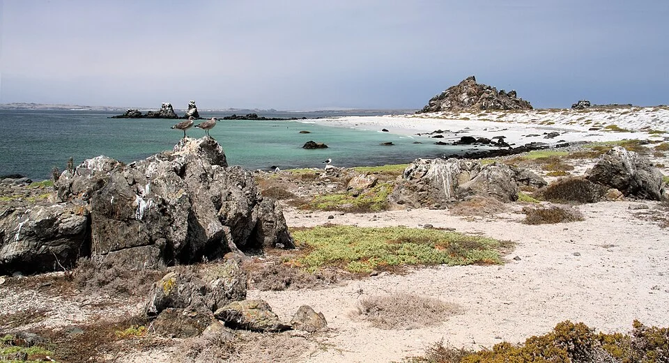 Paisaje de Isla Damas, La Higuera, fotografía de archivo de 2011
