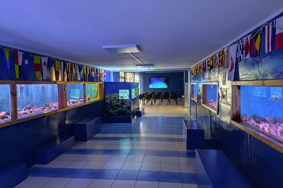 Museo-Acuario y Sala de Colecciones FCM UCN · imagen de su ficha en el Registro de Museos de Chile