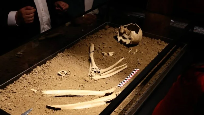Sala Museográfica Hombre de Los Vilos, imagen de la ficha turística regional